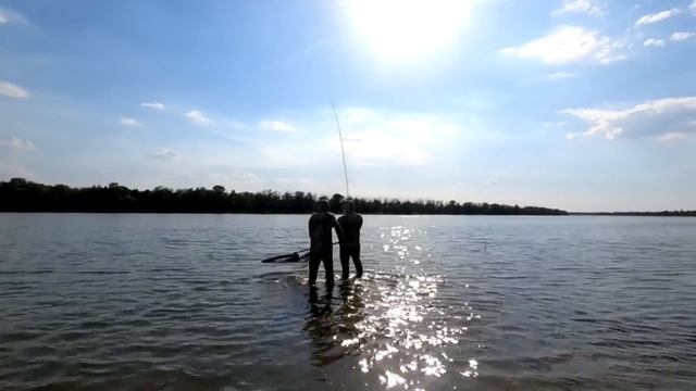 ПОЛТОННЫ РЫБЫ ЗА 2 СУТОК Астрахань Ахтуба Сазаны смотреть онлайн