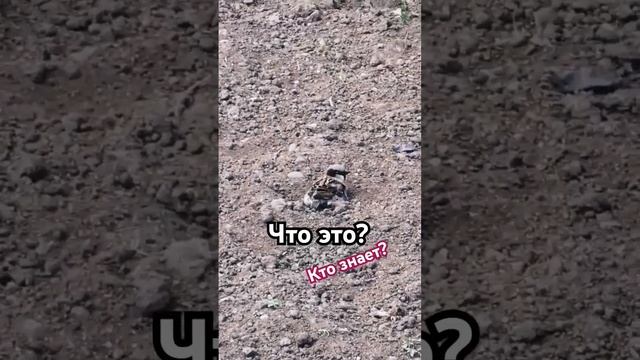 ЧТО ЭТО? #страх #психика #юмор #психология_счастья #мастерскаяреальности смотреть онлайн