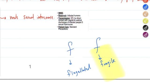 [Grace Team] UGS Microbiology - Lecture 3 || By: Omar Bani Meri смотреть онлайн