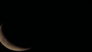 Свадебный сюрприз с подвохом Рассказ Настя Ильина