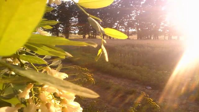 Николаевка. Где то на окраине родного города! смотреть онлайн