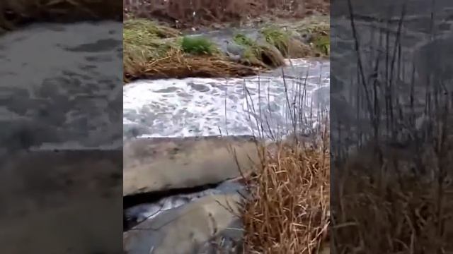 Вода в реке Джемуха окрасилась в черный цвет смотреть онлайн