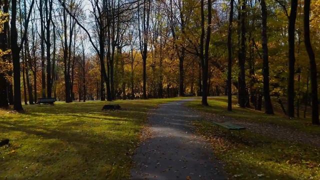 ♫ Classic Rock Mix_songs ♫ ~ Top 50 Classic Rock Anthems | Epic Rock Hits For Every Mood