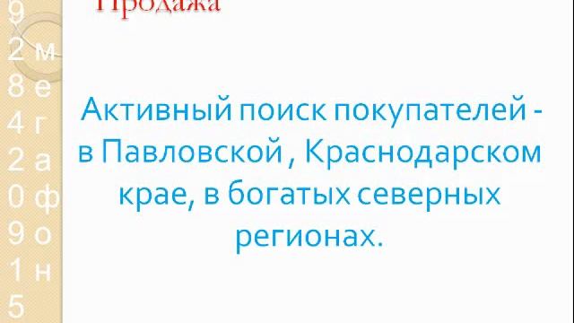 kovcheg service смотреть онлайн