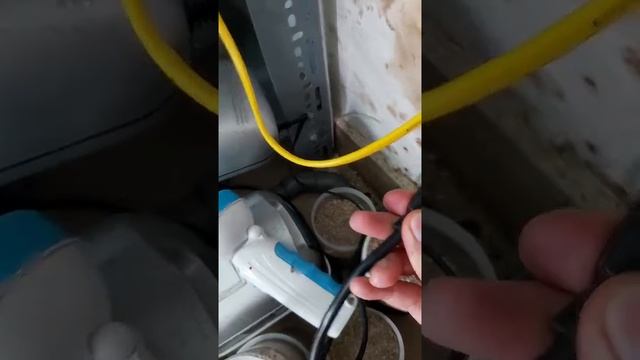 Ph 803w
