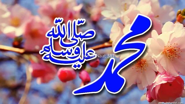 Thi Konain Murda Parhi Jan Is Main Naat 381 idreesia naat sharif multan смотреть онлайн
