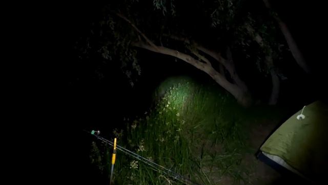 Рыбалка в Астрахани Ловля сазана на жмых Выехали с ночевкой смотреть онлайн