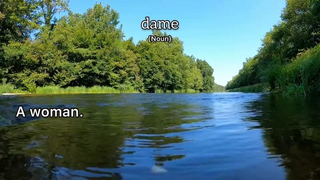 Dame Meaning : Definition of Dame смотреть онлайн