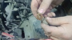 Ниссан Альмера. Не заводится временами. Поиск неисправности и ревизия разъемов ДПКВ и ДПРВ