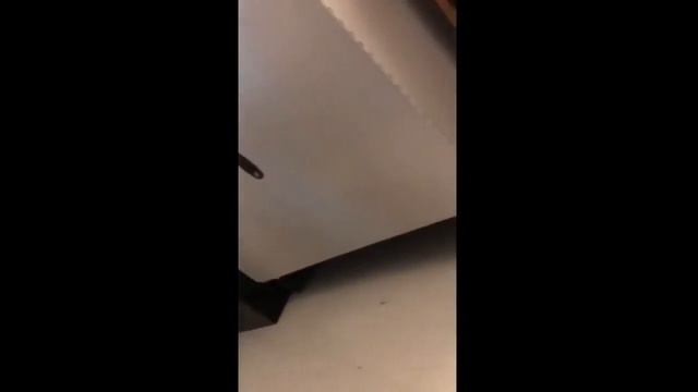 People Playing The Ph Theme In Public School Compilation смотреть онлайн