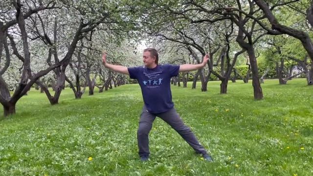 Новостной Стрим - Цигун-Live. Выпуск 49. смотреть онлайн