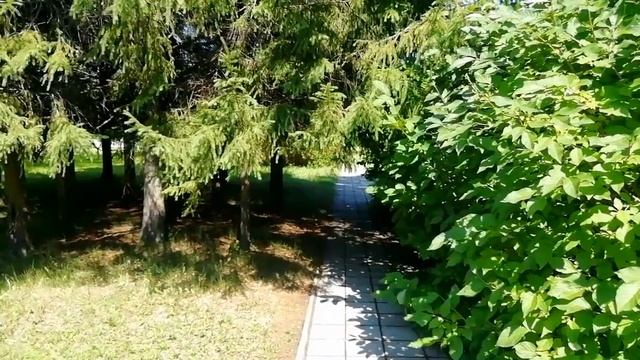 Субботняя прогулка. Лесной городок Ленинск-Кузнецкий смотреть онлайн