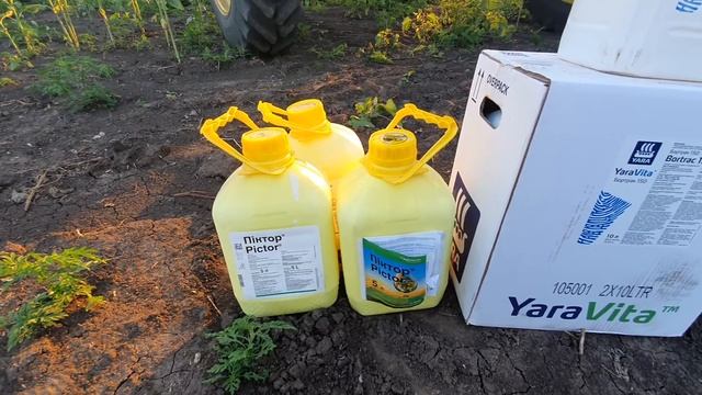 ЕС Саксон - внесення фунгіцида Піктор (Basf) перед цвітінням плюс Бор смотреть онлайн