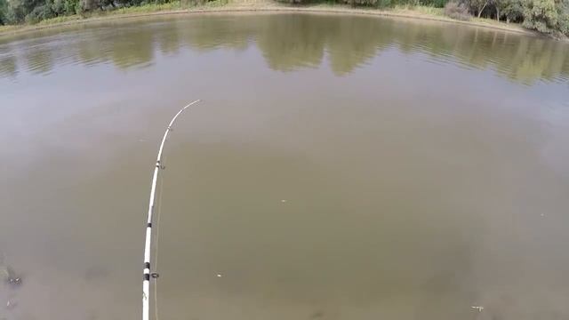 Норма вылова за 1,5 часа. Ловля сазана на жмых.Астраханская рыбалка в дождь. смотреть онлайн