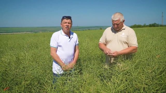 Универсальная дисковая борона ZEUS Verti Till смотреть онлайн