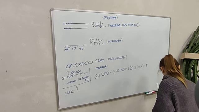 Разбор задачи 2