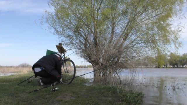 Рыбалка в Астрахани Ловля воблы в период половодья Весенняя рыбалка на велосипеде смотреть онлайн