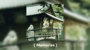 “Memories” (sped up) -Conan Gray