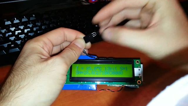 DS18B20 1wire Tester смотреть онлайн