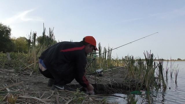 АСТРАХАНЬ ДЕЛЬТА Рыбалка с ночевкой Жарёха на костре смотреть онлайн