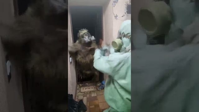 На сталкера нападает снорк