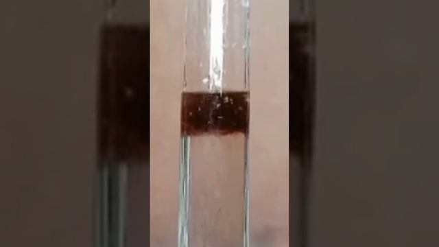 what happens to sugar when it is added to concentrated sulfuric acid || reaction of acid with sugar смотреть онлайн