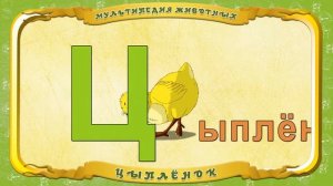 Мультипедия животных  Буква Ц   Цыплёнок