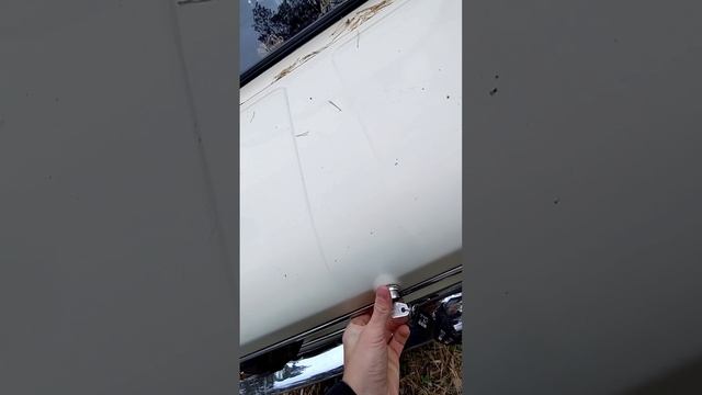 video5204230864908605075 смотреть онлайн