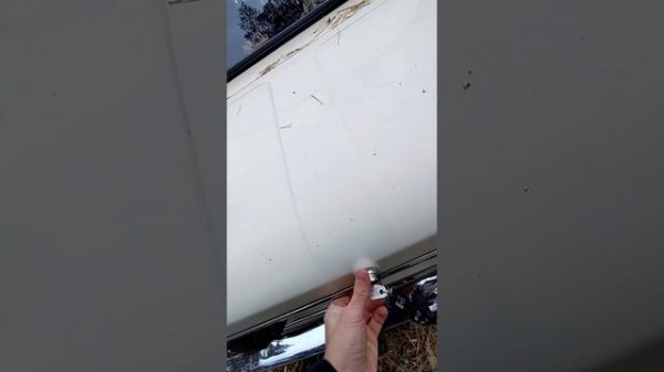 video5204230864908605075