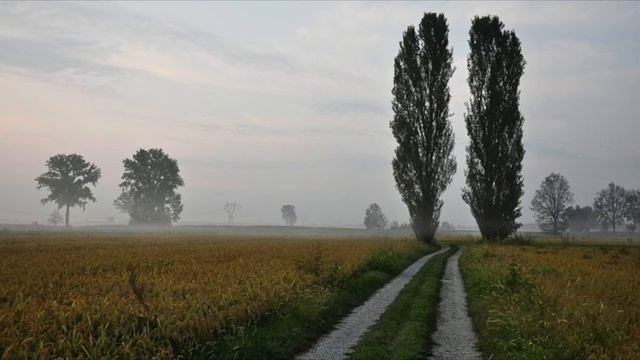 Україна тополина (слова і музика А.Сердюка) (плюс з текстом) 5 клас НУШ смотреть онлайн