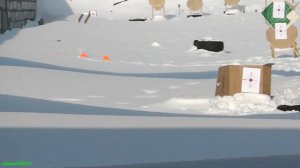 Знакомство с Манулом Байкал 161 22lr.