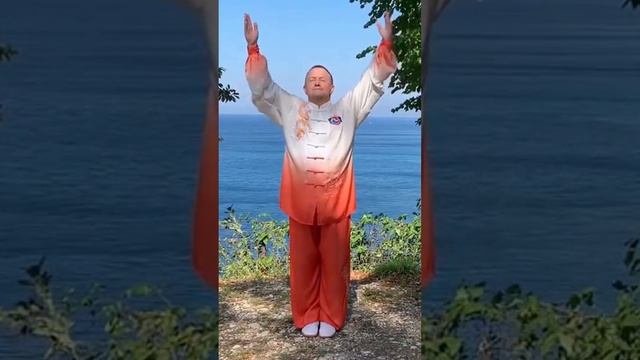 160 польза Оздоровительного Цигун #оздоровительныйсериал #цигунонлайн смотреть онлайн