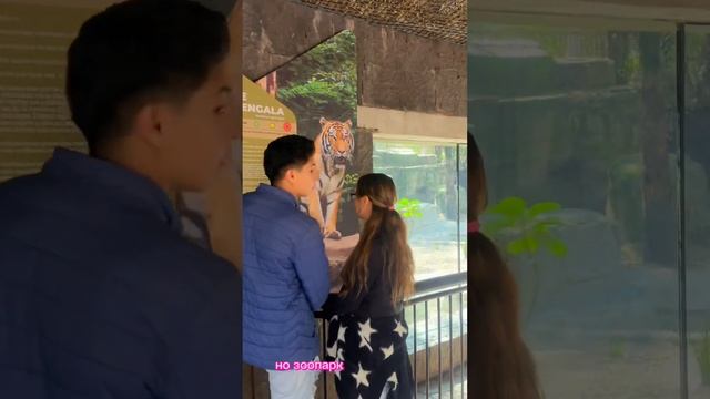 Мексика. Парк Чапультепек. Зоопарк. Переезд в США из Сибири. смотреть онлайн