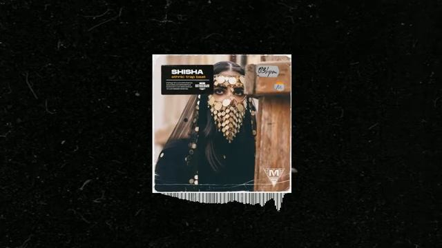 Arabic X Turkish Trap Beat | Ethnic Middle Eastern Trap Beat 2022 - Shisha (prod. Bitodlenya)