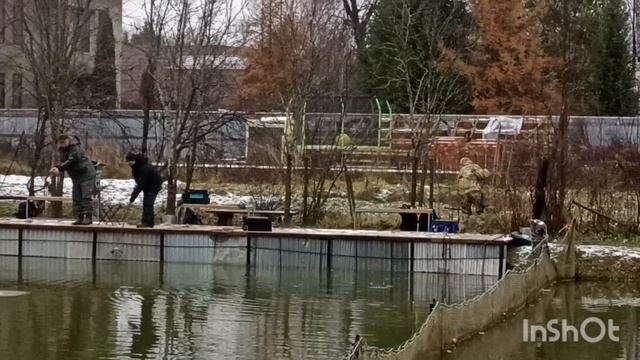 Форель сегодня бойкая смотреть онлайн