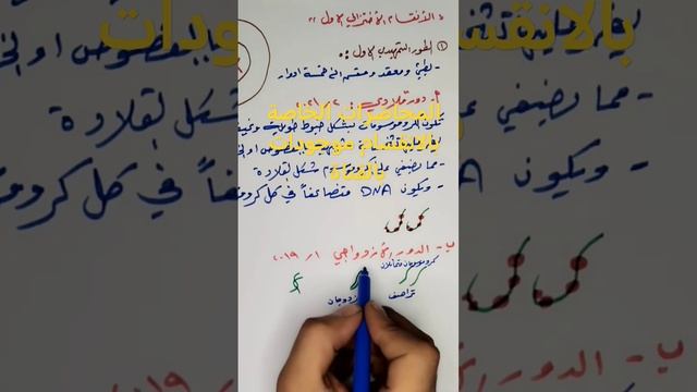 الانقسام الاختزالي/الطور التمهيدي/الدور الازدواجي #سادس_علمي #سادسيون #احيائي #طلاب_العراق #العراق смотреть онлайн