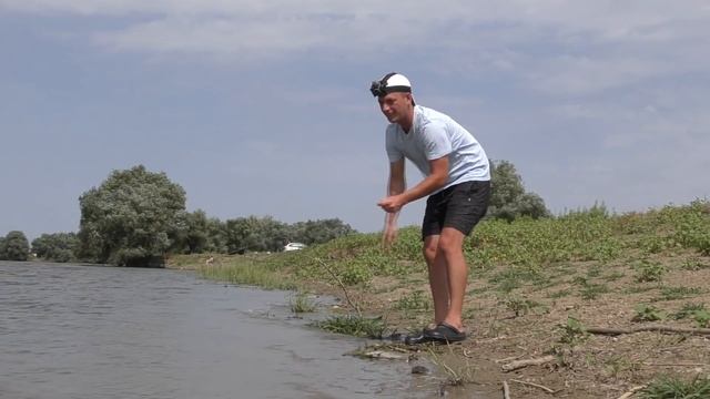 Рыбалка на закидушки (Астраханский макушатник) Ловля сазана на жмых, кукурузу и бойлы смотреть онлайн