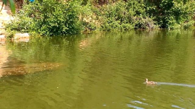 ТЕМ ВРЕМЕНЕМ НА КАМЕНУХЕ смотреть онлайн