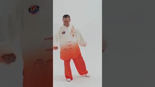 30 причина заняться Оздоровительным Цигун. Повышение качества жизни. #shorts #цигун смотреть онлайн