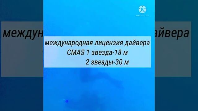 Diving in Turkye Про дайвинг в Турции можно говорить часами, но лучше это увидеть своими глазами смотреть онлайн