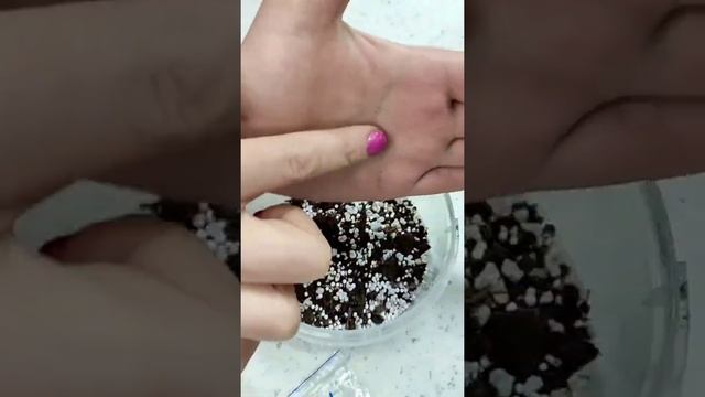 посадка мелких семян смотреть онлайн