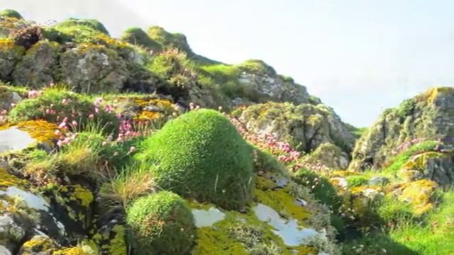 IONA, May 6, 2014 смотреть онлайн