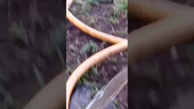 глубинная скважина смотреть онлайн