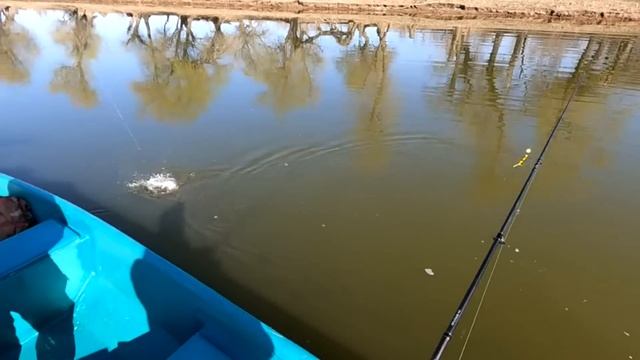 РЫБАЛКА С ЕГЕРЕМ В АСТРАХАНИ Плюсы и минусы Весенний жор судака 2023 смотреть онлайн