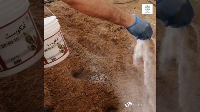 Basamid Soil treatment смотреть онлайн
