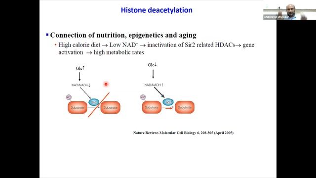 BMSCON 2022 Day 1: "Unravelling the epigenetic mechanisms" смотреть онлайн
