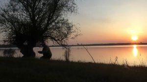 Ахтуба Рыбалка на жмых в мае Ловля сазана в Астрахани