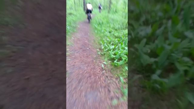 Коварные лесные тропы :) смотреть онлайн