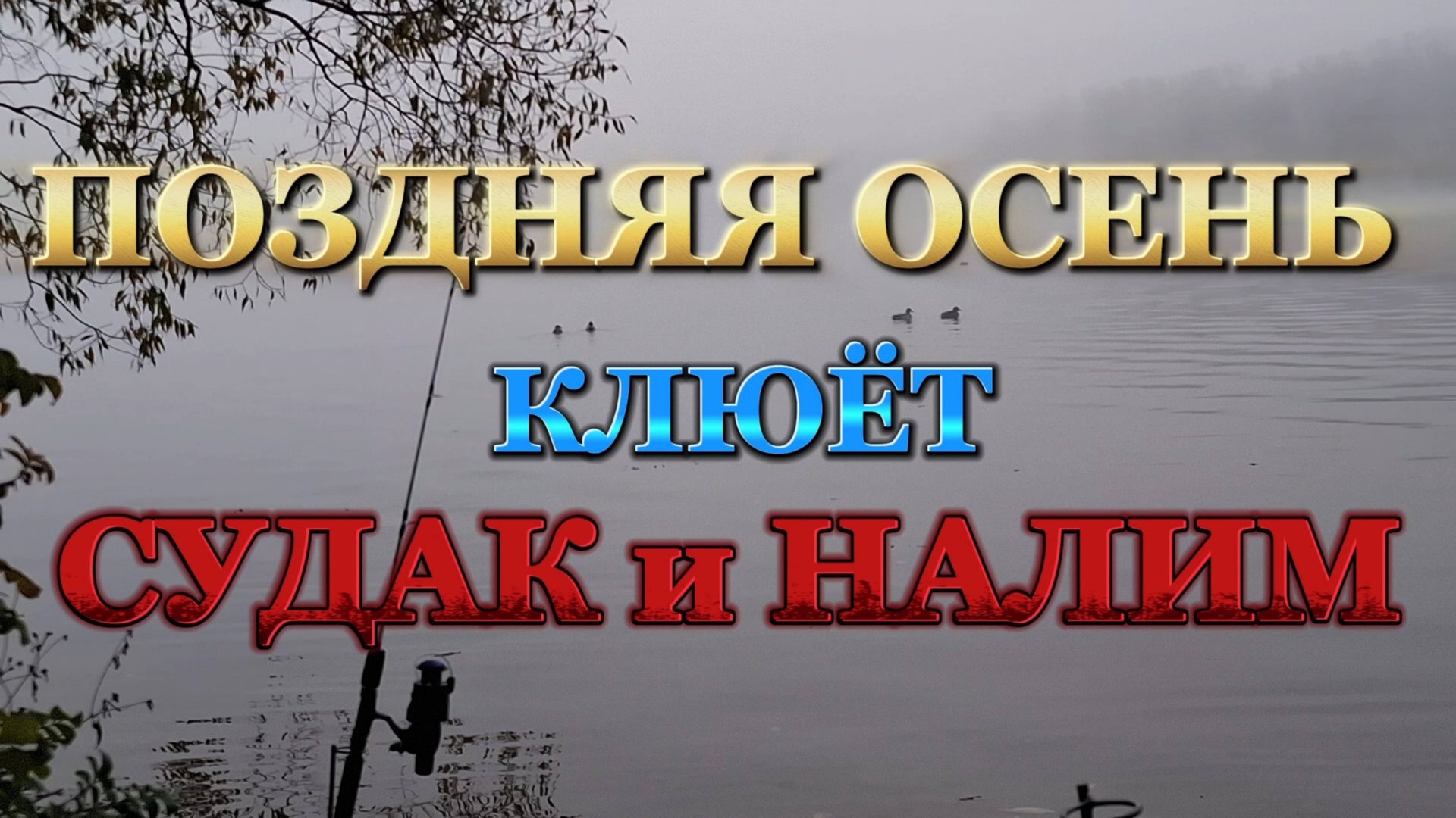 СУДАК и НАЛИМ на ЖИВЦА! смотреть онлайн