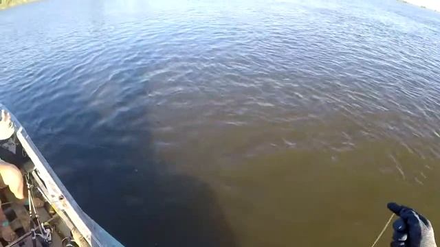 Рыбачим на донки. Ловим рыбу с лодки в низовьях Волги. смотреть онлайн